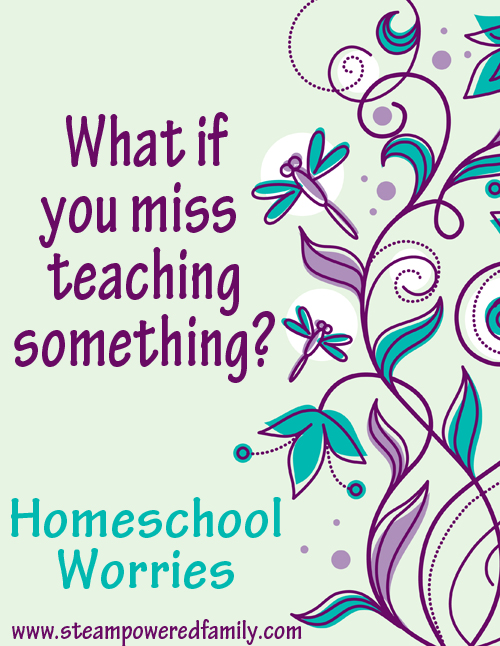 What if I miss something? Homeschool Worries