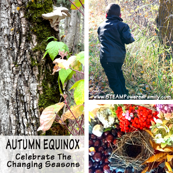 CONNECTING WITH NATURE - A nature harvest and sensory bin. Also known as Fall Equinox and Mabon