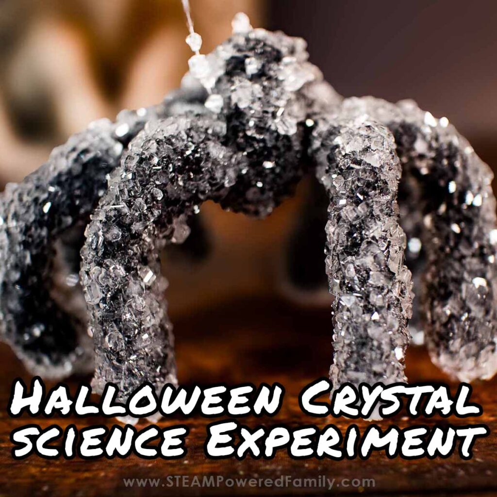 Halloween Crystal Experiment