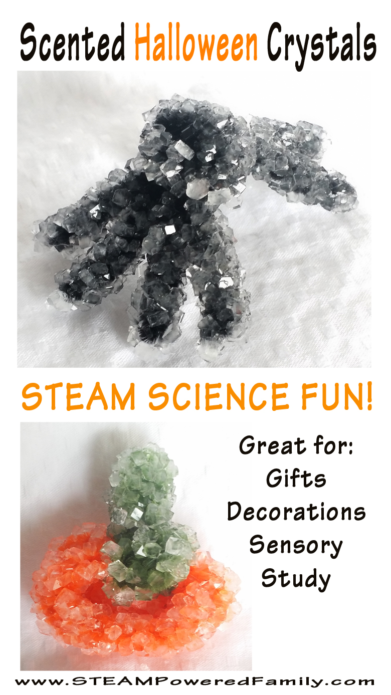 Scented Halloween Crystals - A STEAM project that explores sedimentation and crystallization. These cuties make great decorations, gifts and sensory toys. #boraxcrystals #HalloweenCraft #HalloweenActivity #HalloweenKids via @steampoweredfam