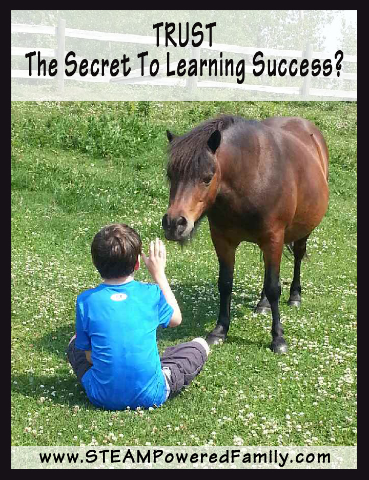 Trust - The Secret To Success In Learning? After years of struggling trying to help my son learn, I think we may finally have some understanding about what is needed for learning success. 
