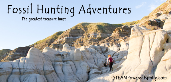 Fossil Hunting Adventures - The greatest treasure hunt and fun for the whole family