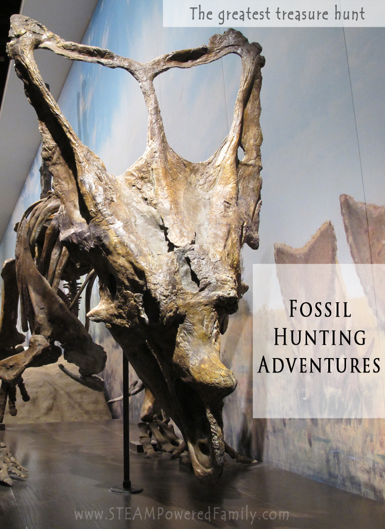 Fossil Hunting Adventures - The greatest treasure hunt and fun for the whole family