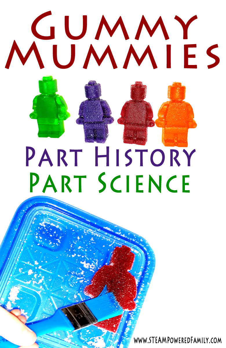 Lego Gummy Mummies are a unique experiment exploring desiccation. An excellent activity linking science and ancient historical cultures like the Egyptians. #Lego #HistoryLesson #ScienceLesson #CandyScience via @steampoweredfam