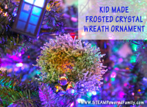 Kid Made Crystal Christmas Ornament - Adding some fun science creation to the holidays