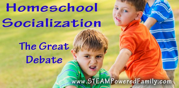 Homeschool Socialization – The Great Debate
