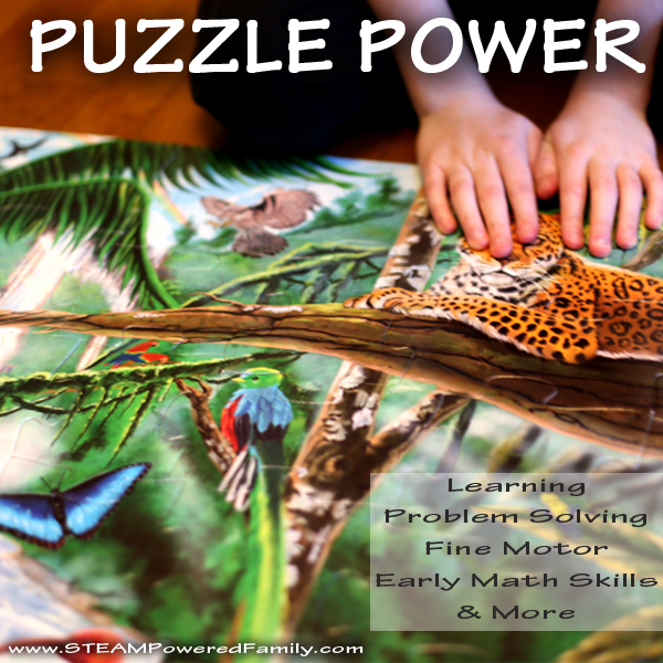 The Power Of Puzzles For Learning