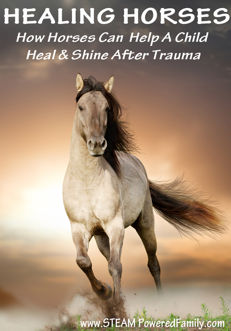 Healing Horses - The magical power of horses to help child heal is amazing. My own son's history with childhood trauma left him with severe issues. It was horses that finally helped him find healing. 