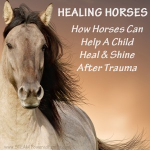 Healing Horses - The magical power of horses to help child heal is amazing. My own son's history with childhood trauma left him with severe issues. It was horses that finally helped him find healing.