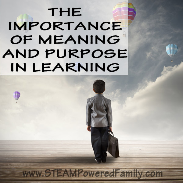 The importance of meaning and purpose in learning can not be underestimated. With purpose and passion anyone can learn almost anything, but how can we spark that passion for learning and education? 