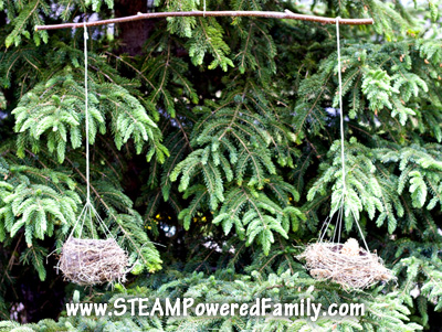 It's time for an outdoor STEM challenge! Take your learning outdoors with this fun, natural fulcrum balance for some wonderful natural exploration and STEM learning. 