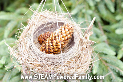 It's time for an outdoor STEM challenge! Take your learning outdoors with this fun, natural fulcrum balance for some wonderful natural exploration and STEM learning. 