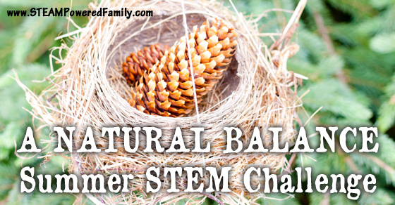 A Natural Balance – Outdoor STEM Challenge