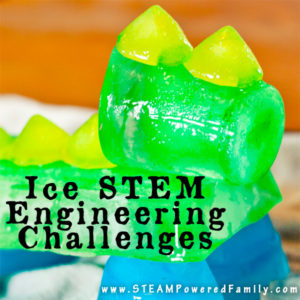 An Ice STEM Engineering Challenge that is fascinating and an inspiring learning opportunity. Perfect for homeschoolers and young scientists, with everything you need in one box.