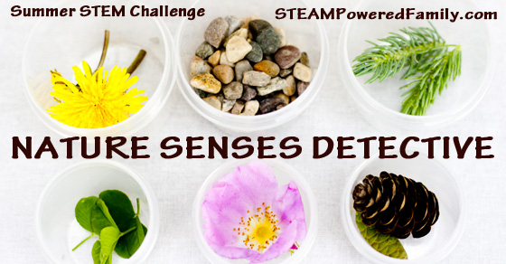 This sensory exploration activity is a wonderful way to get outside, get into nature and embrace a few moments of mindfulness. Enjoy being a Nature Senses Detective!