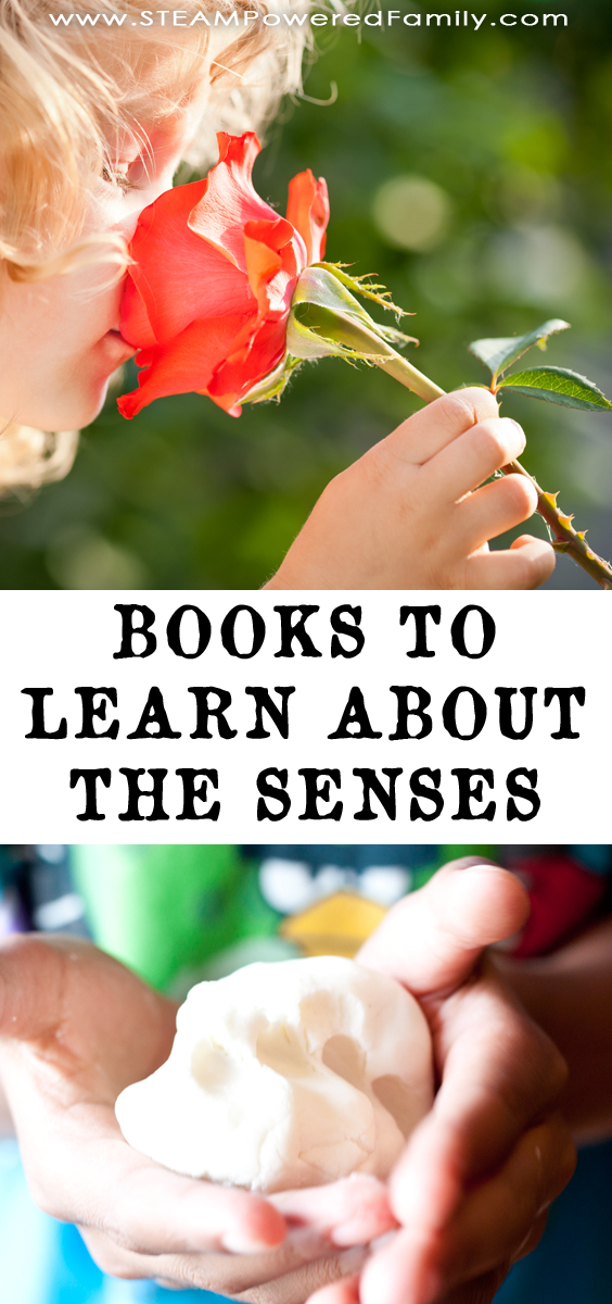 Become a great scientist by mastering observation and interpretation through your senses. Learn how they work with these books about the senses for all ages