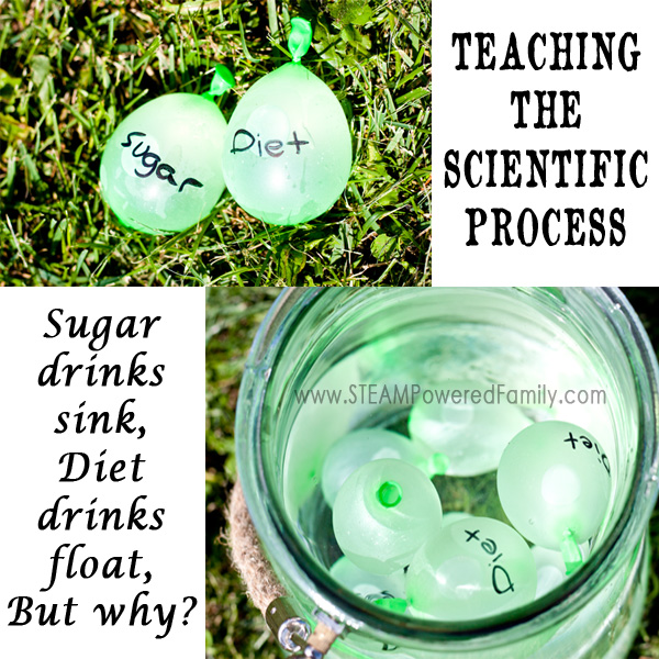 Teaching The Scientific Process