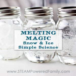 Melting Magic ~ Snow Ice Simple Science