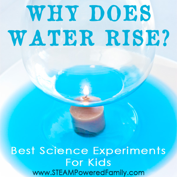 Why Does Water Rise? Best Science Experiments for Kids!