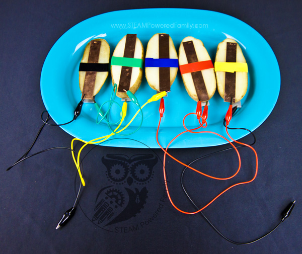 Fruit Battery Science Kit - Potato Clock STEM Experiment For Kids Educational Projects