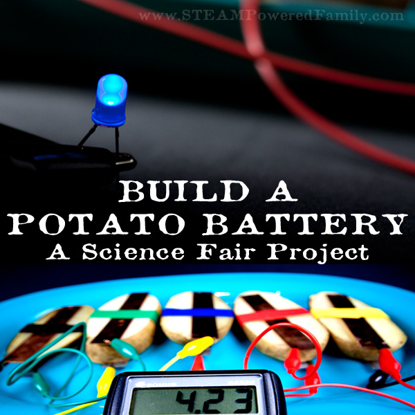Build a potato battery that powers a light bulb. A fantastic STEM activity and science fair project exploring circuits and energy production.