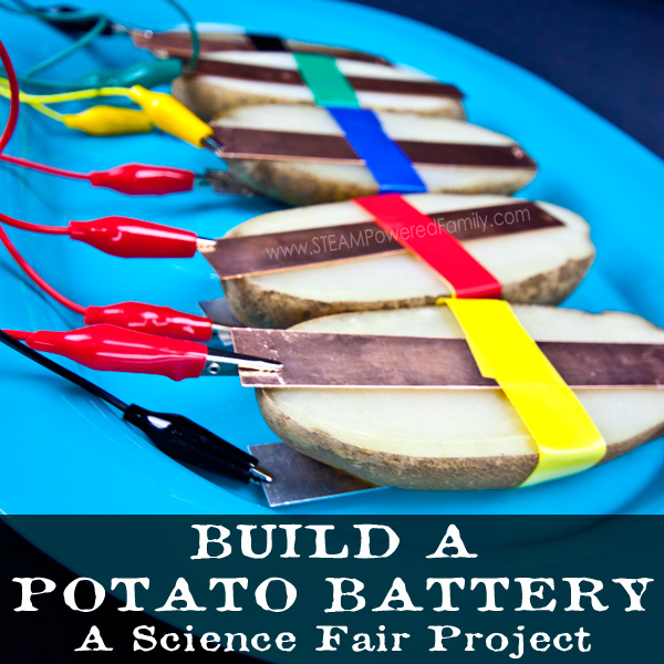 Build a potato battery that powers a light bulb. A fantastic STEM activity and science fair project exploring circuits and energy production.