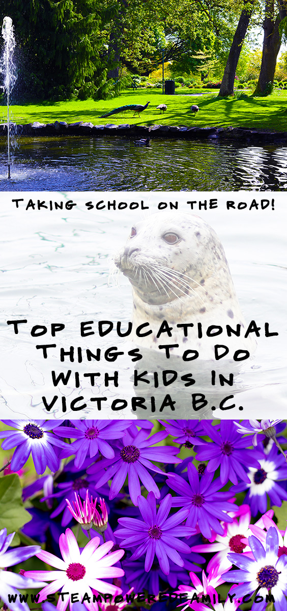 10 Inspiring and Educational Things To Do With Your Kids In Victoria BC. We tried them all and came up with our favourite things for elementary kids. via @steampoweredfam