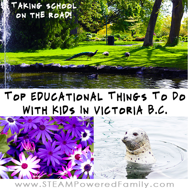 10 Inspiring and Educational Things To Do With Your Kids In Victoria BC. We tried them all and came up with our favourite things for elementary kids.