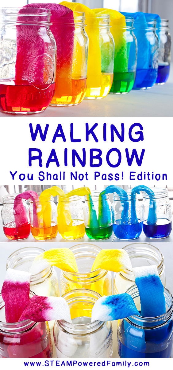 The Walking Rainbow science experiment should have been easy, and it was, once we mastered the science! This simple and gorgeous experiment taught us more lessons than we anticipated. Kids learn about capillary action, colours, plus natural balance, all in an experiment that is stunningly gorgeous. Using simple supplies you probably already have readily available, you can easily do this experiment with your kids. CLICK TO LEARN MORE FROM STEAM POWERED FAMILY.  via @steampoweredfam