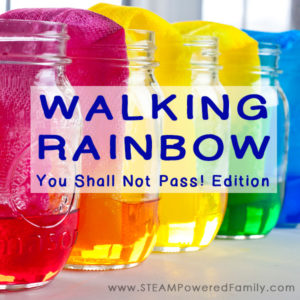 The Walking Rainbow science experiment should have been easy, but due to a mistake we discovered a fascinating capillary action and natural balance project.