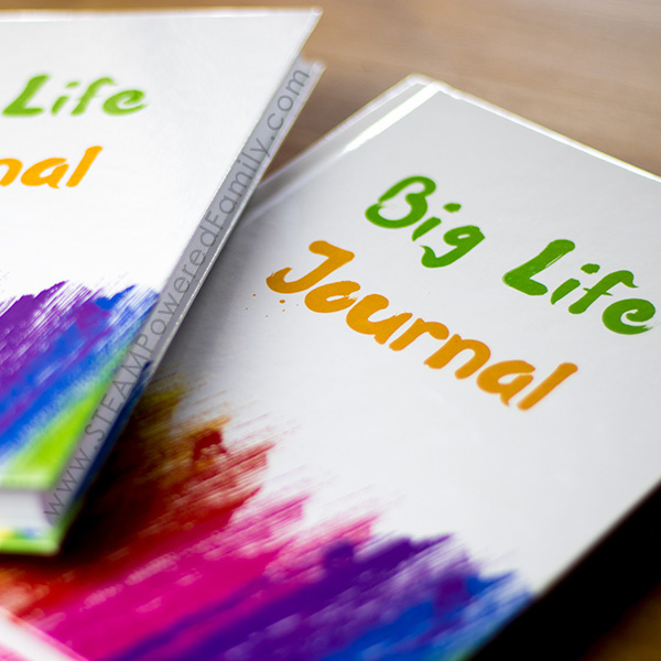 Big life journal