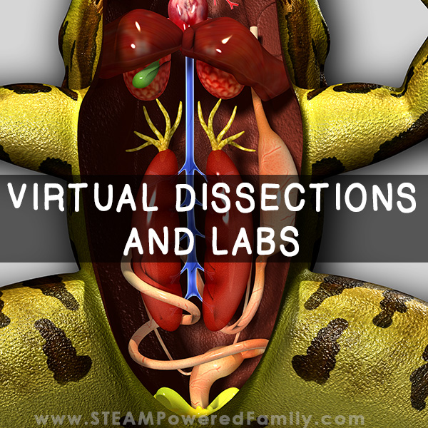 Virtual Dissections and Labs – Save yourself the mess and stress