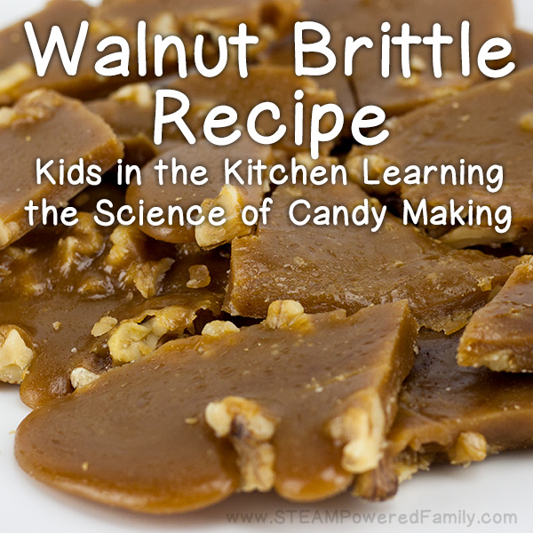 Walnut Brittle Recipe – Kids In The Kitchen Candy Science