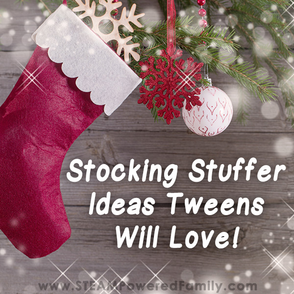 The tween years can be hard to shop for, but don't fear! We've gathered up some of the best ideas for stocking stuffers for tweens that they will love.