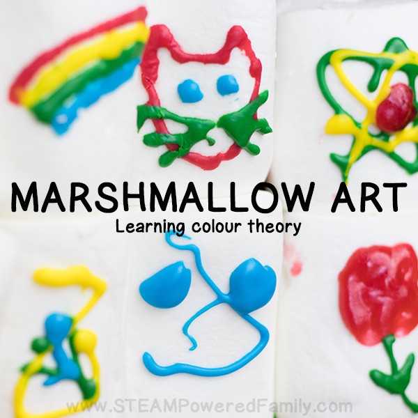 Marshmallow Art is a fun way for all ages to learn with colour. Marshmallows make a wonderful canvas and with the right tools colour theory can be explored, while fine motor skills are developed. Older kids will enjoy challenging their artist talents on a curved surface. 