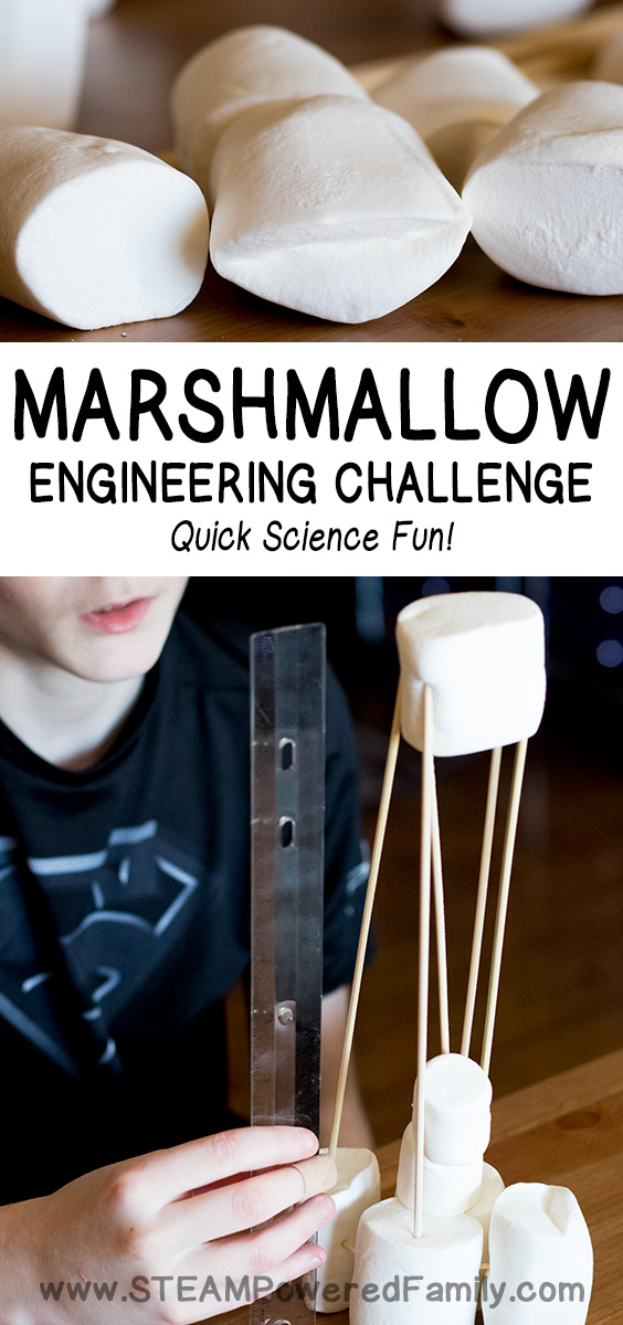 Need a quick and easy educational challenge that kids will love, has a super quick clean up, and uses easy to find items? This Marshmallow Engineering Challenge is a fantastic engineering minute to win it type challenge that helps kids build their problem solving skills and can be adapted for a variety of levels. via @steampoweredfam