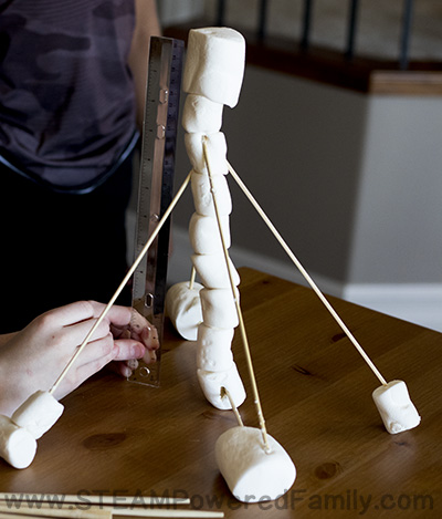 Need a quick and easy educational challenge that kids will love, has a super quick clean up, and uses easy to find items? This Marshmallow Engineering Challenge is a fantastic engineering minute to win it type challenge that helps kids build their problem solving skills and can be adapted for a variety of levels.