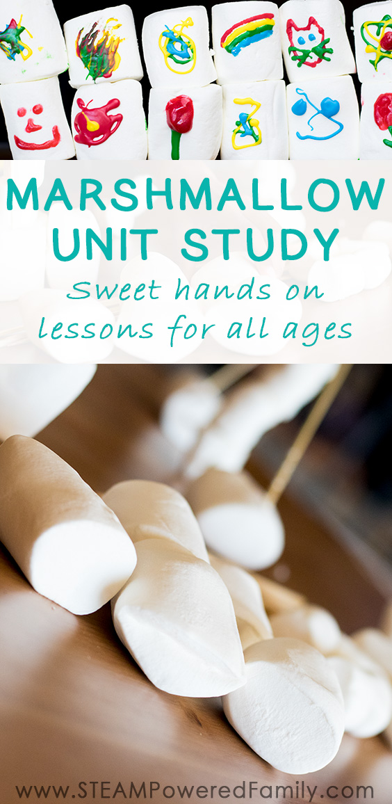 Marshmallows are a fantastic unit study with lessons in science, engineering, math and so much more. Dive into some extra tasty kitchen science by making your own homemade marshmallows (so much better than store bought), and even some sensory play. This is one unit study kids of all ages will enjoy. #Marshmallows #UnitStudy #KitchenScience via @steampoweredfam