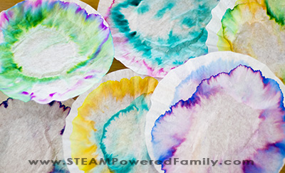 With the popularity of our Circuit Bugs STEM Activity it was time to come up with something new, something with a little extra art. Introducing Circuit Flowers! Explore chromatography, diffusion, engineering and circuit building with this hands on STEAM activity. Great for mothers' day, spring, girls in STEM, and more!
