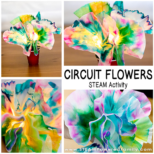 With the popularity of our Circuit Bugs STEM Activity it was time to come up with something new, something with a little extra art. Introducing Circuit Flowers! Explore chromatography, diffusion, engineering and circuit building with this hands on STEAM activity. Great for mothers' day, spring, girls in STEM, and more!