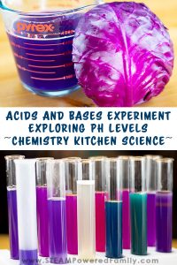 Acids and Bases Experiment Exploring pH Levels