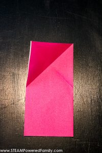 Frog Games - STEAM Education Project with Origami Frogs
