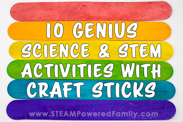 STEM Basics 120 Count Skinny Craft Sticks 