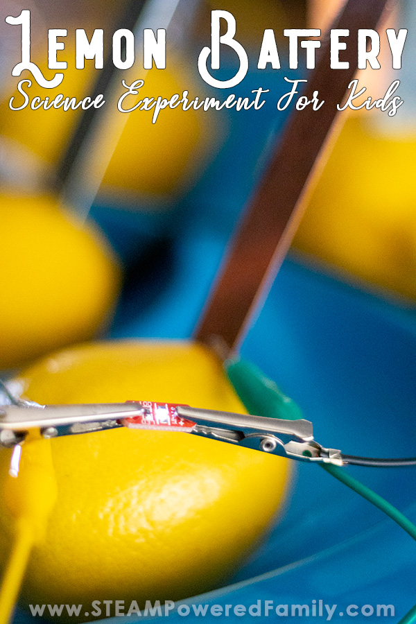Lemon battery science project, perfect for the science fair. Learn how to build a lemon battery that powers a light bulb. Lesson also included in how batteries work and electric currents flow. 