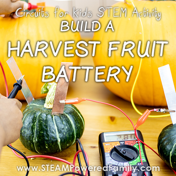 Fall Harvest Fruit Battery Circuit activity
