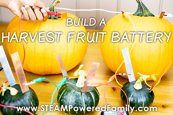 Fall Harvest Fruit Battery Pumpkins and Squash