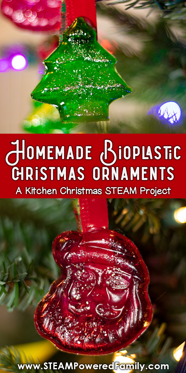 Homemade bioplastic ornaments