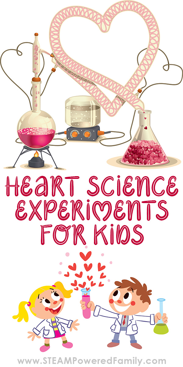 Lots of science experiments with a heart theme. From biology to chemistry and physics, bring a little love to science! #science #hearts via @steampoweredfam