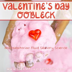 How To Make Valentine’s Day Oobleck – Sensory Science