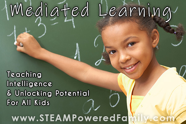 Unlocking Potential with Mediated Learning – Teaching Intelligence